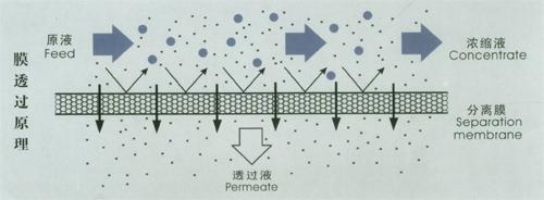 什么是膜分离？带你深入了解膜分离技术 常见问题 第2张